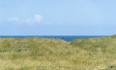 'Dila' - 150m from the sea 3