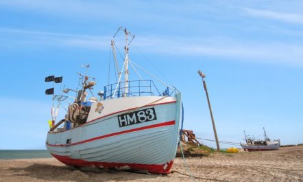 'Wilja' - 400m from the sea 3