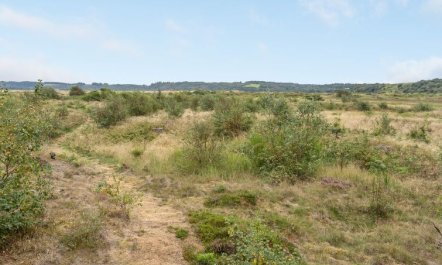 'Waldar' - 900m from the sea 3