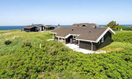 'Abel' - 350m from the sea