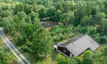 'Brunetta' - 350m from the sea 4