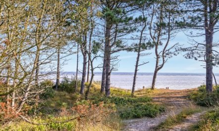 'Amai' - 100m from the sea 6