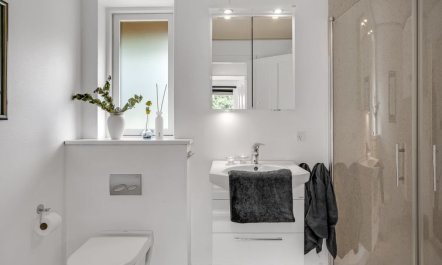 'Adrienne' -  from the sea 1