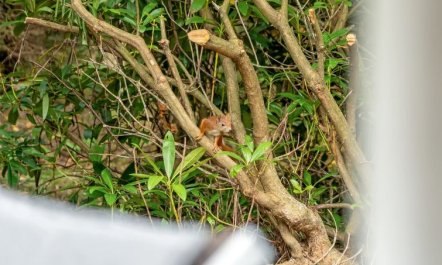 'Melisa' - 3km from the sea 4