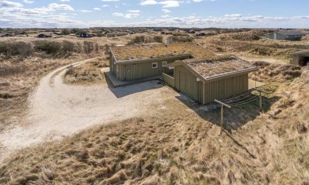 'Fanney' - 100m from the sea 2