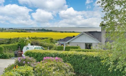 'Tamer' - 500m to the fjord 6