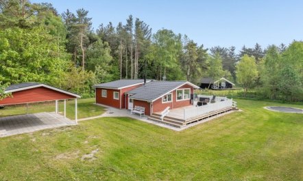 'Mainio' - 800m from the sea 4