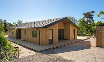 'Ileana' -  from the sea 3