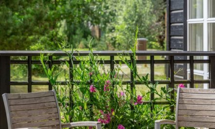 'Nele' - 400m from the sea 6