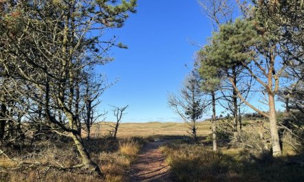 'Nilson' - 1.4km from the sea 4