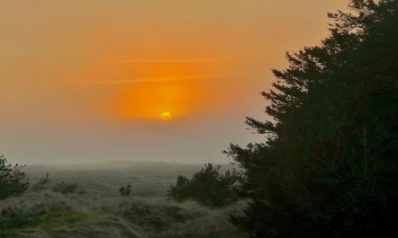 'Nilson' - 1.4km from the sea 3