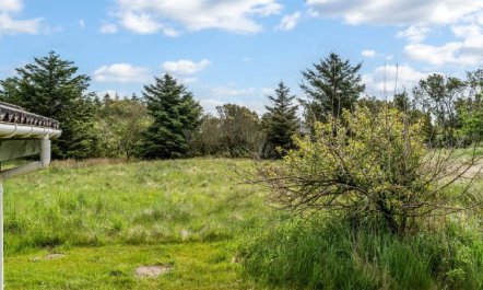 'Aponi' - 400m from the sea 4