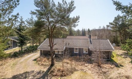 'Sighbiorn' - 950m from the sea 6