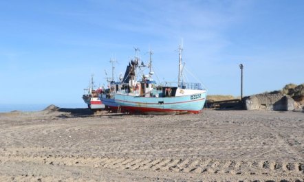 'Sighbiorn' - 950m from the sea 2