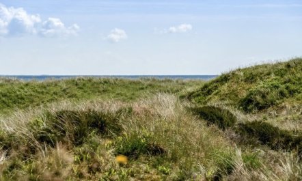 'Ajten' - 150m from the sea 2