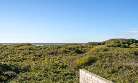 'Rauli' - 50m from the sea 6