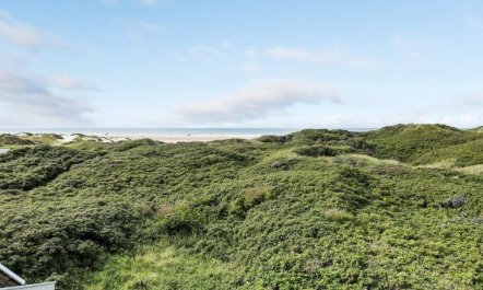 'Rauli' - 50m from the sea 5