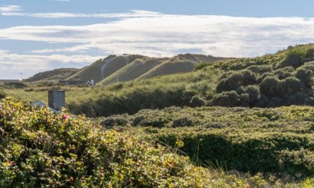 'Rauli' - 50m from the sea 4