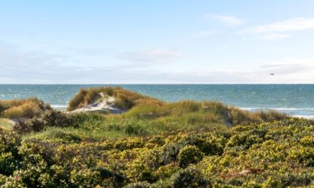 'Rauli' - 50m from the sea 3