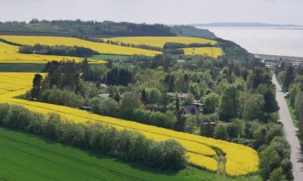 'Aranja' - 300m to the fjord 7