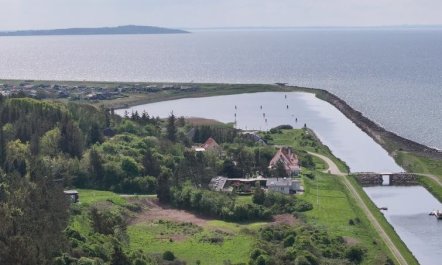 'Aranja' - 300m to the fjord 2