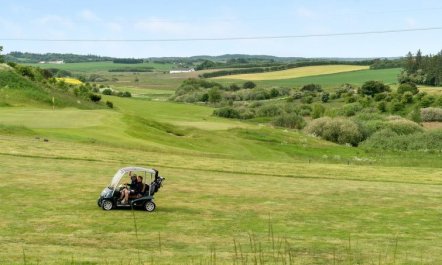 'Erly' - 18km to the fjord 4