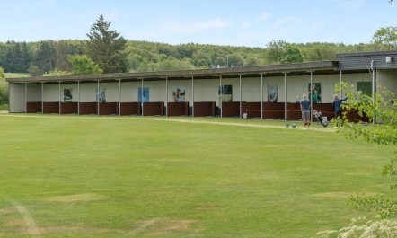 'Erly' - 18km to the fjord 2