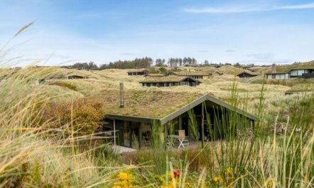 'Hunved' - 500m from the sea 5