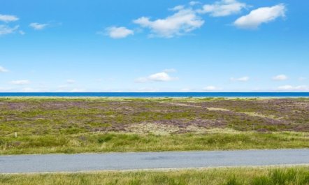 'Lutz' - 340m from the sea 2