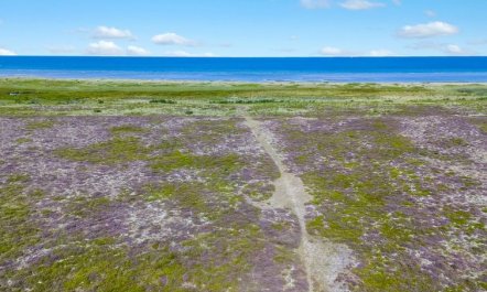 'Lutz' - 340m from the sea 3