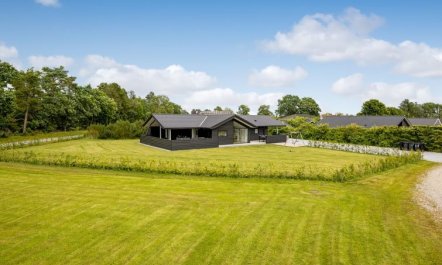 'Aleksa' - 500m from the sea 3