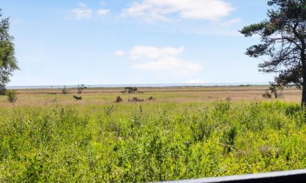 'Griselda' - 400m from the sea 2