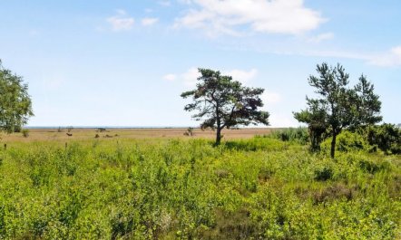 'Griselda' - 400m from the sea 1