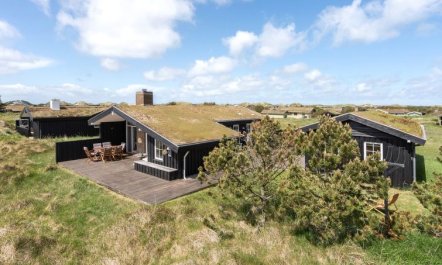 'Driss' - 500m from the sea 5