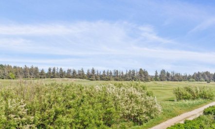 'Thyra' - 700m from the sea 6