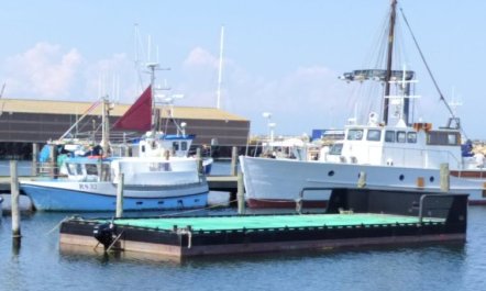 'Line' - 10m from the sea 4