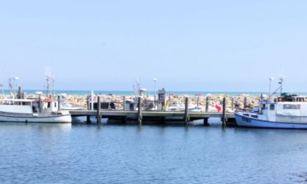 'Line' - 10m from the sea 2