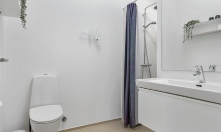 'Aaltje' - 65m from the sea 7