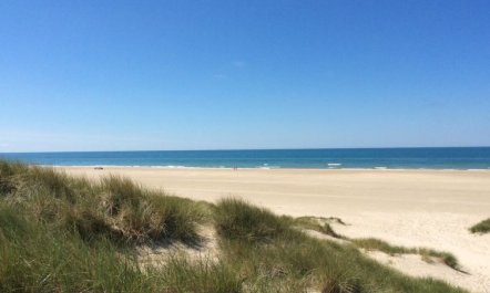 'Oskarvine' - 900m from the sea 2