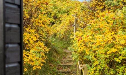 'Thorfin' - 300m from the sea 5