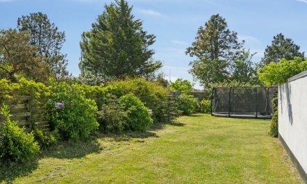 'Eikka' - 100m from the sea 2