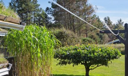 'Ofelia' - 2.5km from the sea 5