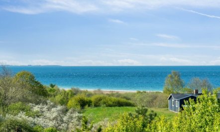 'Irek' - 500m from the sea 7