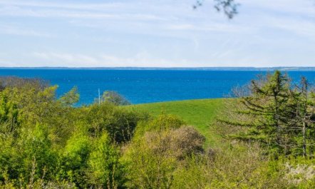 'Irek' - 500m from the sea 6