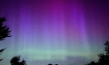 'Irek' - 500m from the sea 3