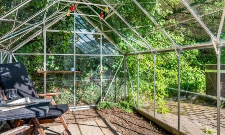 'Albert' - 300m from the sea 5