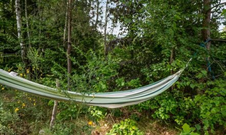 'Gunward' - 3km from the sea 2