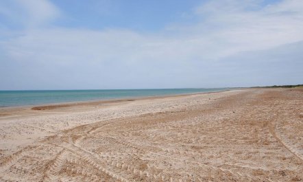 'Gunnie' - 1.1km from the sea 2