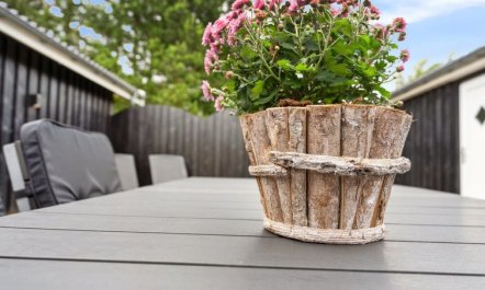 'Sylvi' - 750m from the sea 5