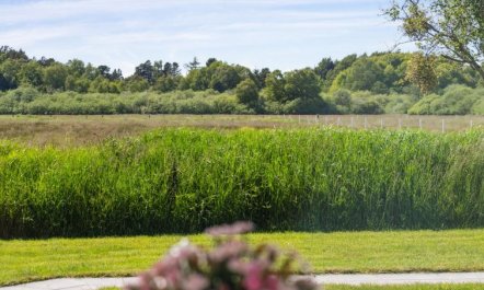 'Blondine' - 1.4km from the sea 5